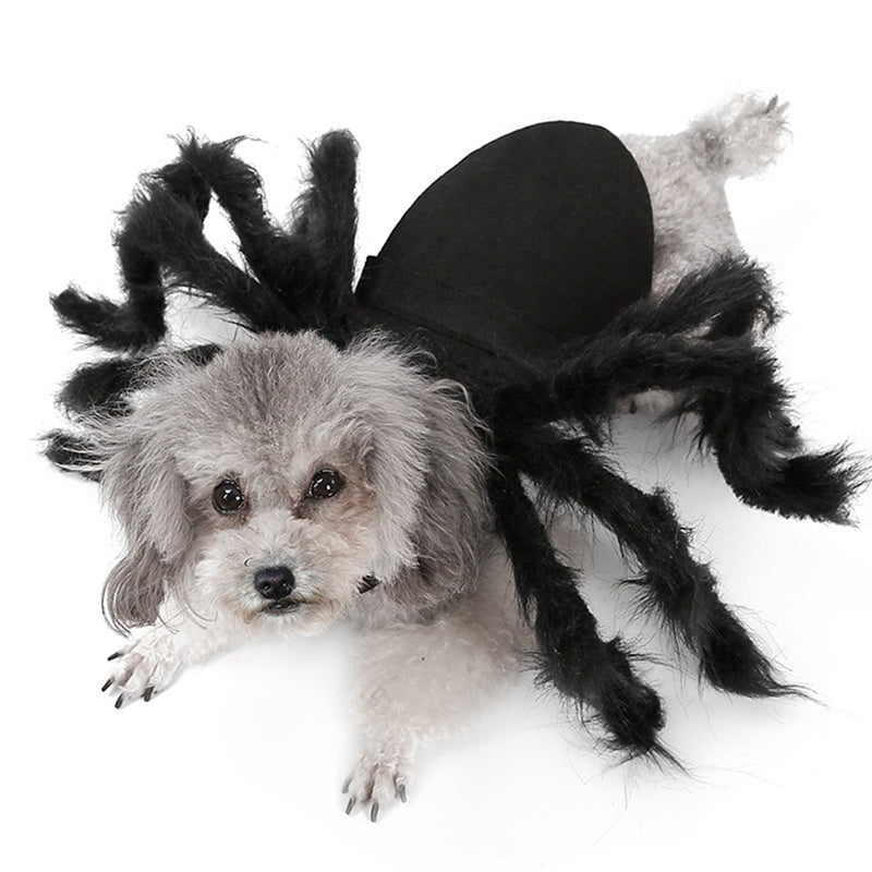 Spider Pet Costume for Halloween Funny Plush Look