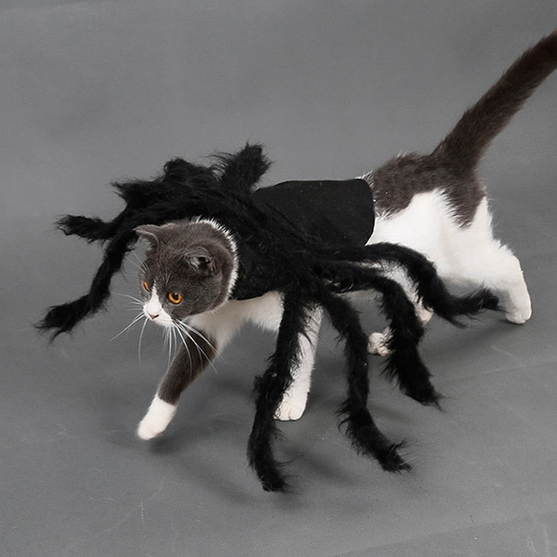 Spider Pet Costume for Halloween Funny Plush Look