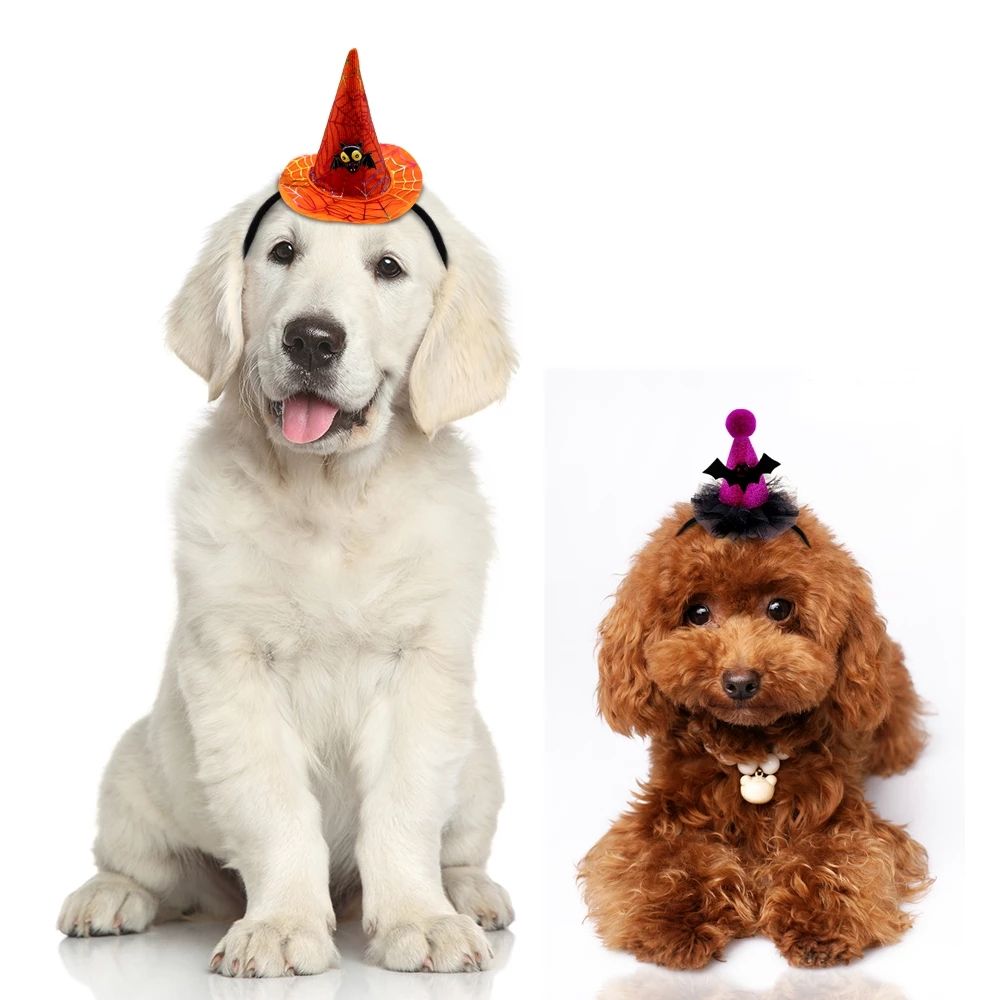 Pet Halloween Witch Hat for Festive Costume Photos