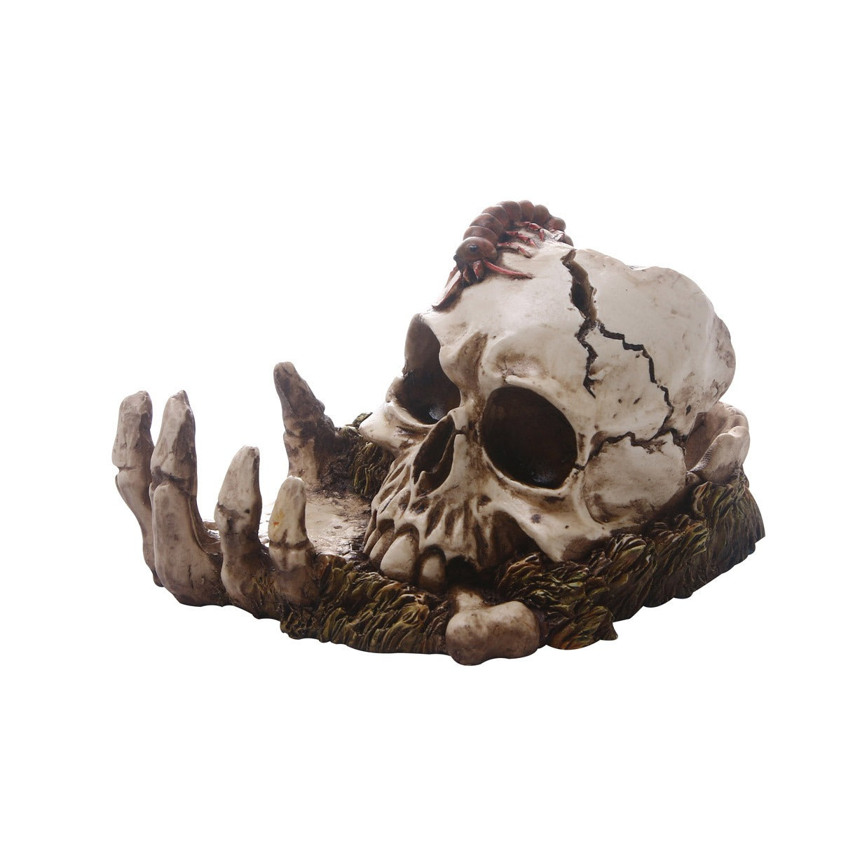 Decorative Skull Ornament With Gothic Hand Details