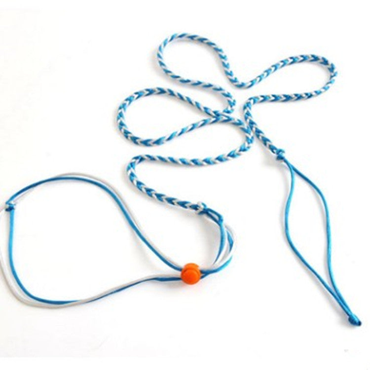 Small Pet Walking Rope for Bright, Supervised Play