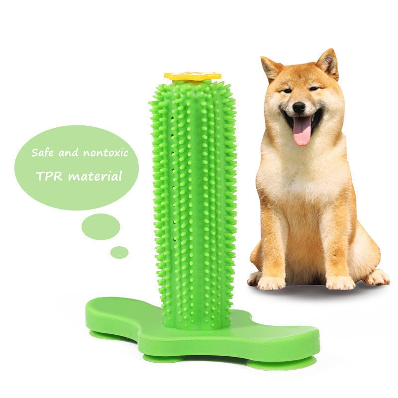 Small Dog Dental Chew Toy for Daily Teeth Cleaning