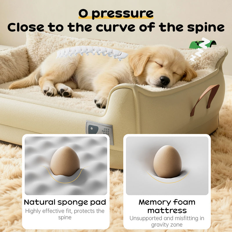 Heavy-Duty Dog Bed for Medium & Large Dogs | Portable