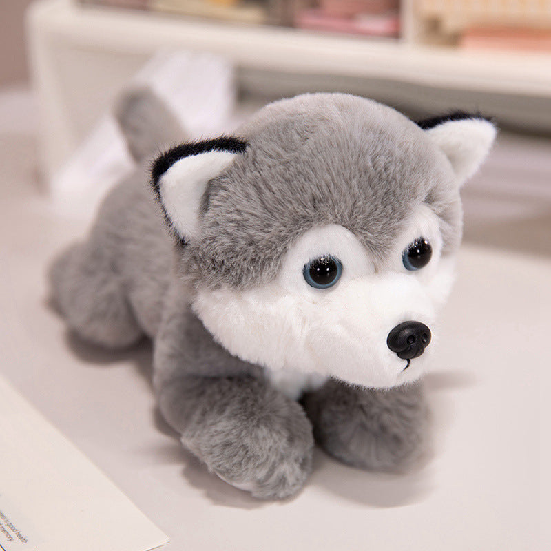 Husky Plush Toy – Soft Compact Cuddly Dog Birthday Gift
