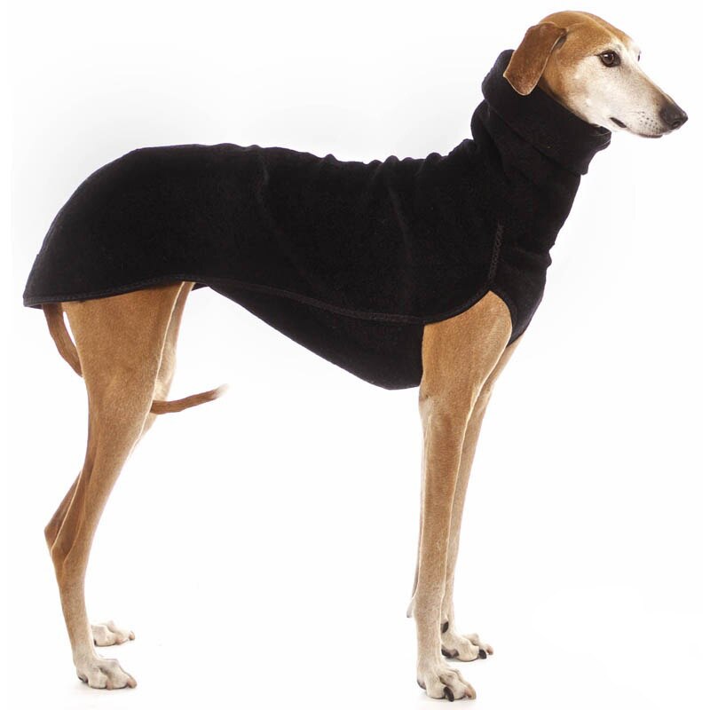High-Collar Fleece Dog Coat for Cold-Weather Walks