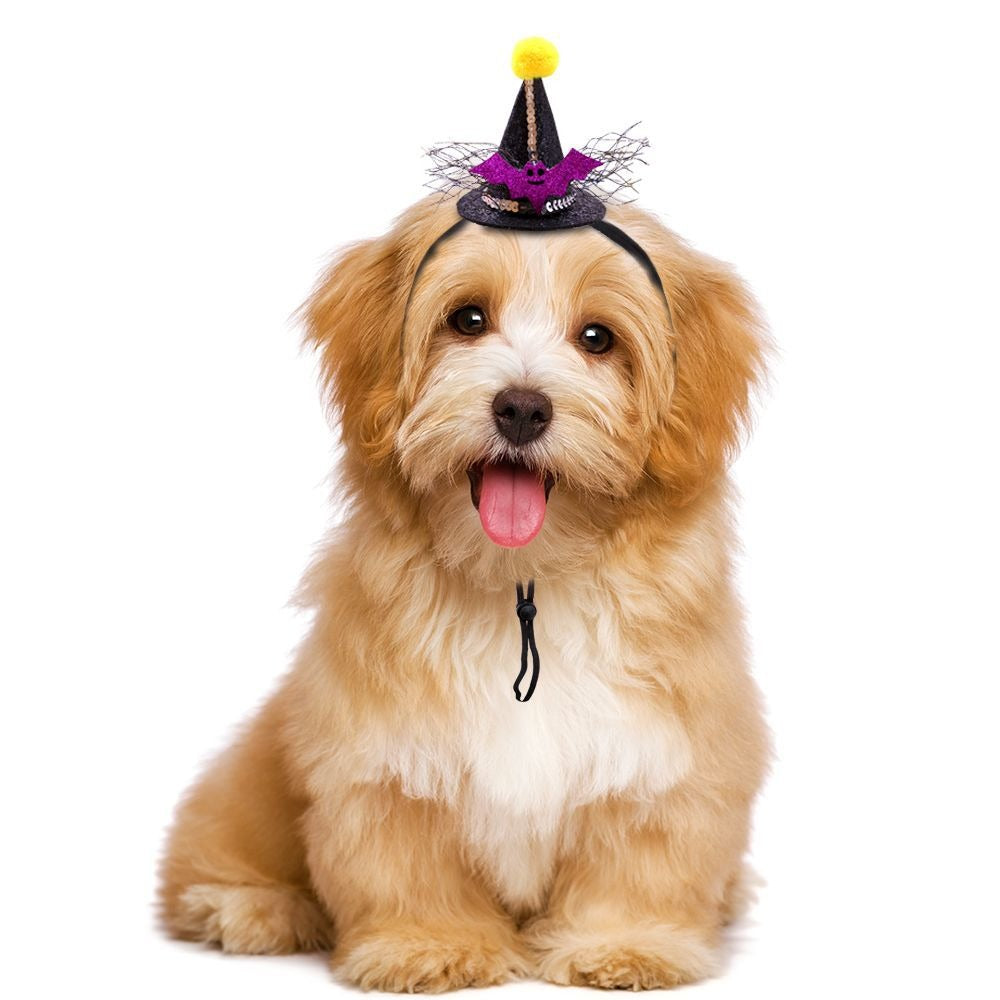 Halloween Pet Witch Hat for Festive Photos & Parties