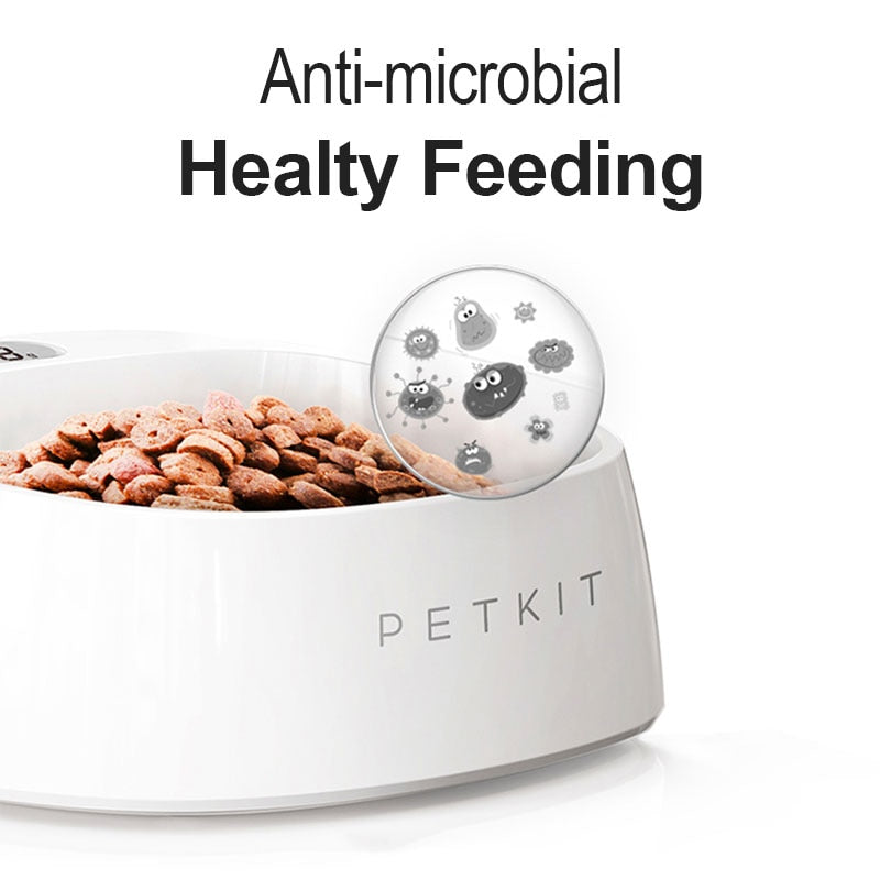 Raised Anti-Microbial Pet Bowl for Easier Daily Feeding