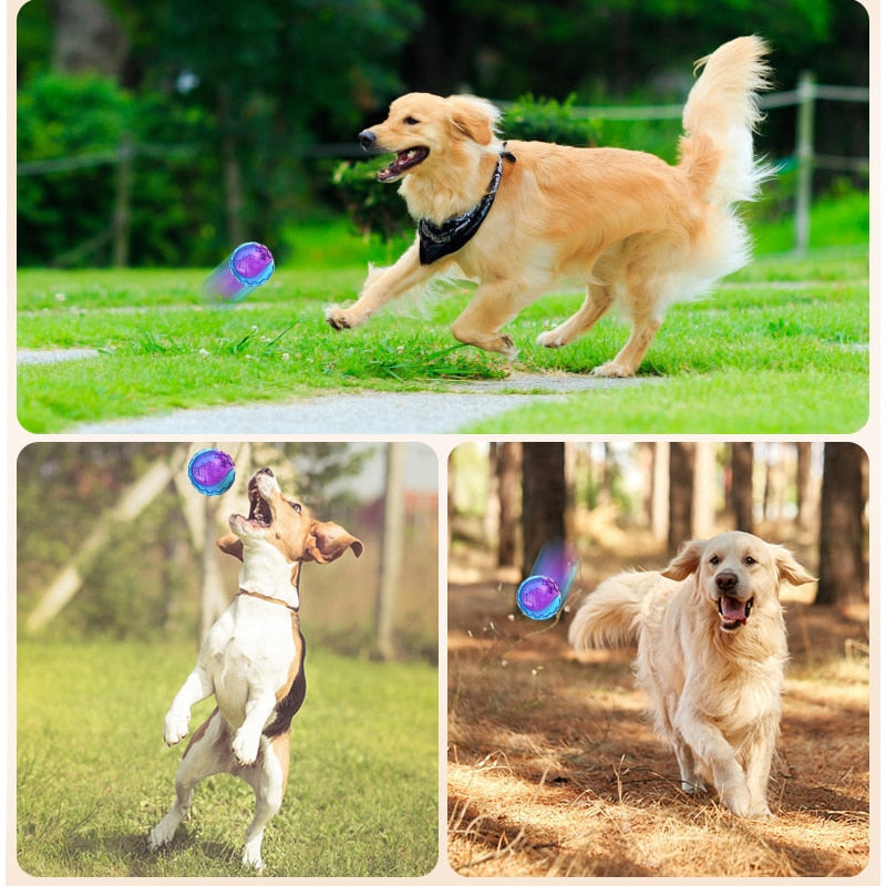 Squeaky Dog Chew Ball for Safe Outdoor Fetch Play