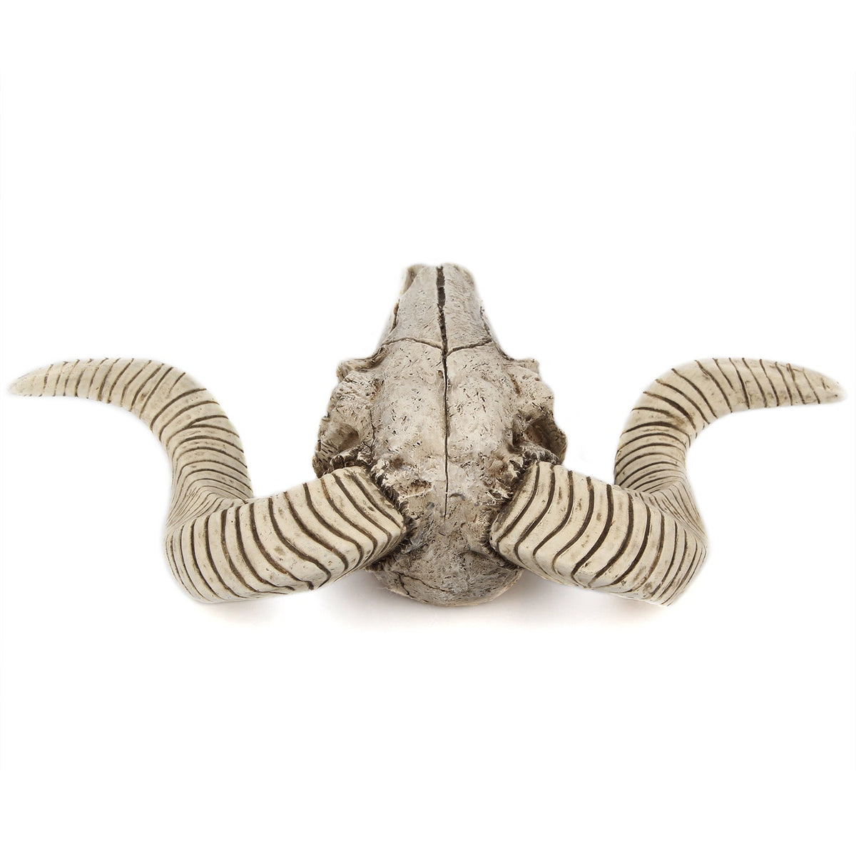 Horned Skull Wall Hanging Rustic Statement Home Decor