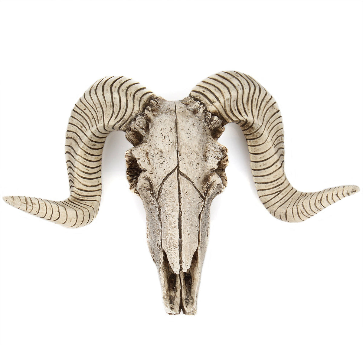 Horned Skull Wall Hanging Rustic Statement Home Decor