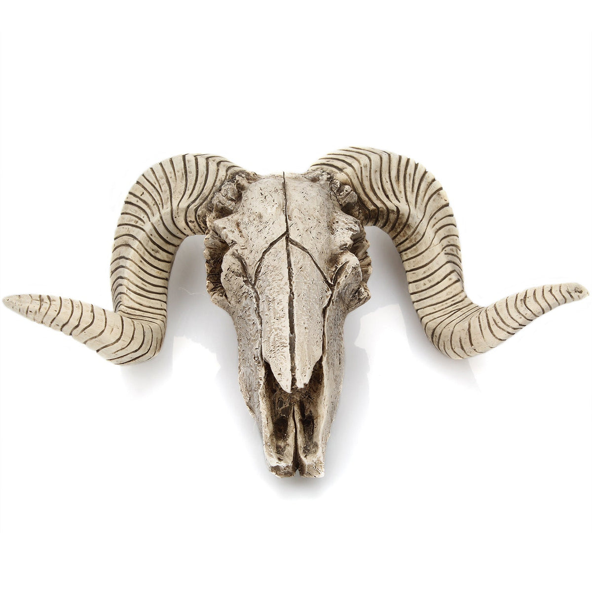 Horned Skull Wall Hanging Rustic Statement Home Decor