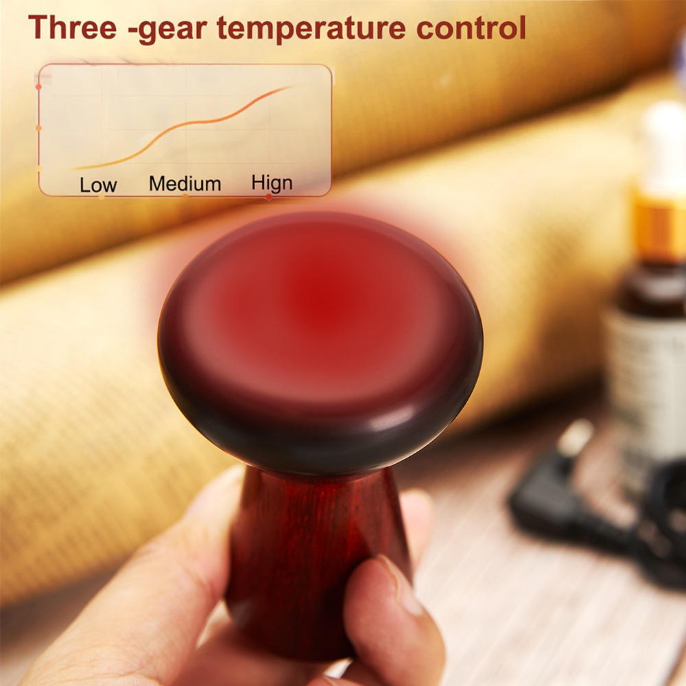 Heated Gua Sha Face Massager with 3 Temperature Settings