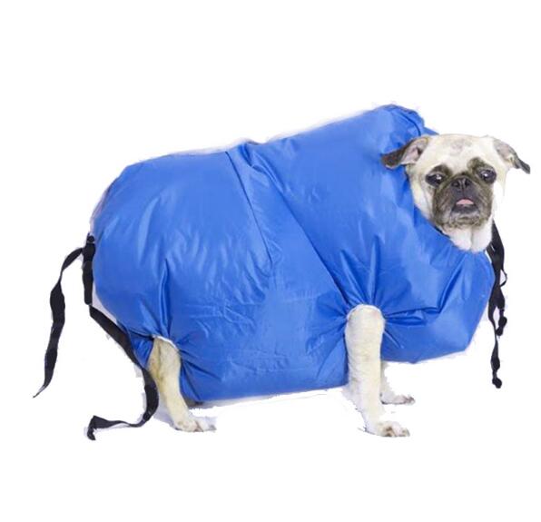 Dog Drying Coat for Faster, Easier Post-Bath Drying