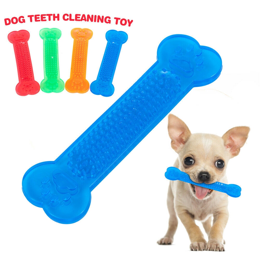 Dog Dental Chew Toy for Fun, Textured Teeth Cleaning