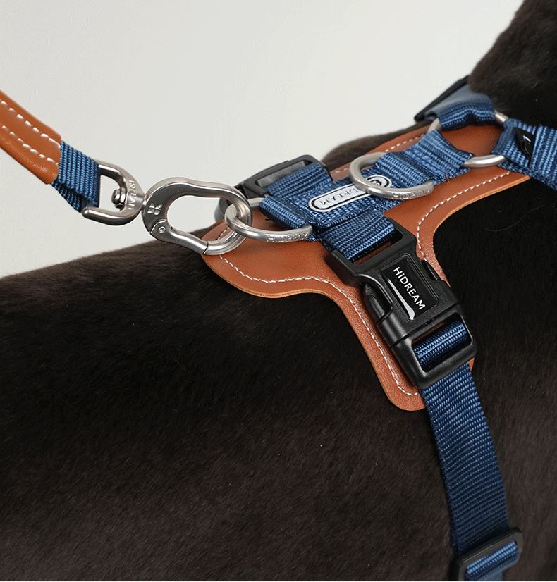 No-Pull Dog Harness Set for Confident Outdoor Walks
