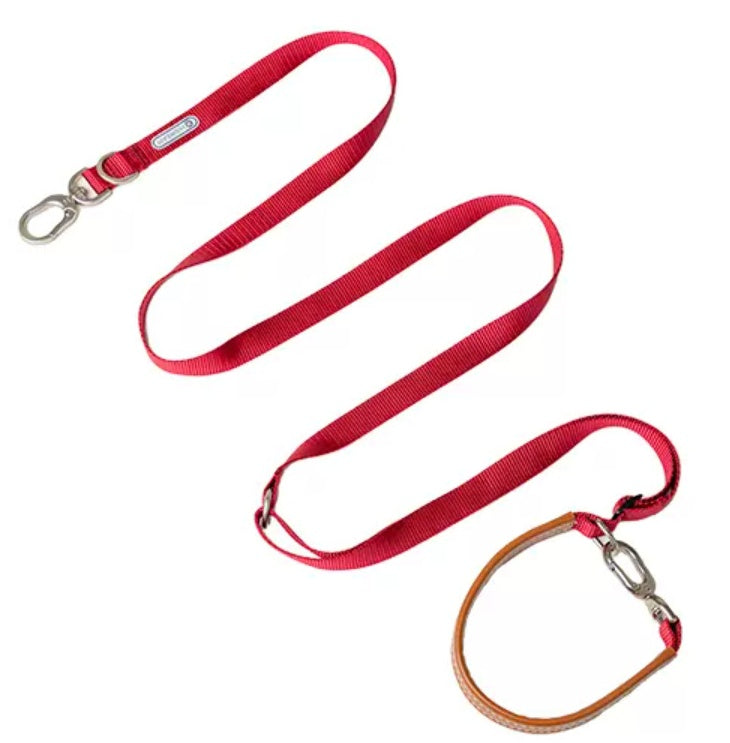 No-Pull Dog Harness Set for Confident Outdoor Walks