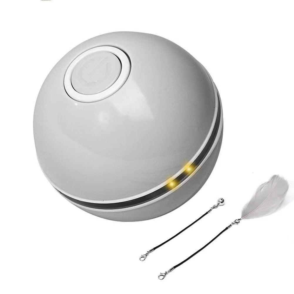 Interactive Cat Ball Toy for Daily Indoor Enrichment