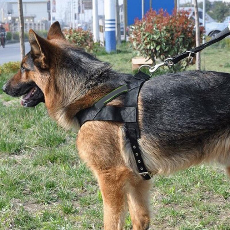 Reflective Dog Harness and Leash for Safer Daily Walks