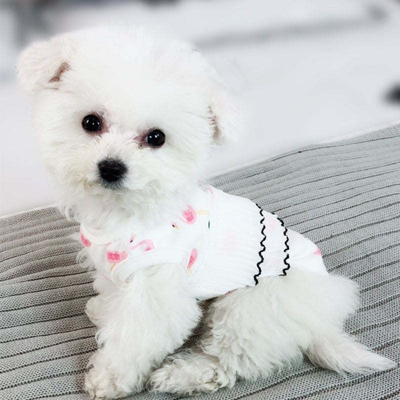 Small Pet Summer Vest Shirt – Cute Lightweight Style