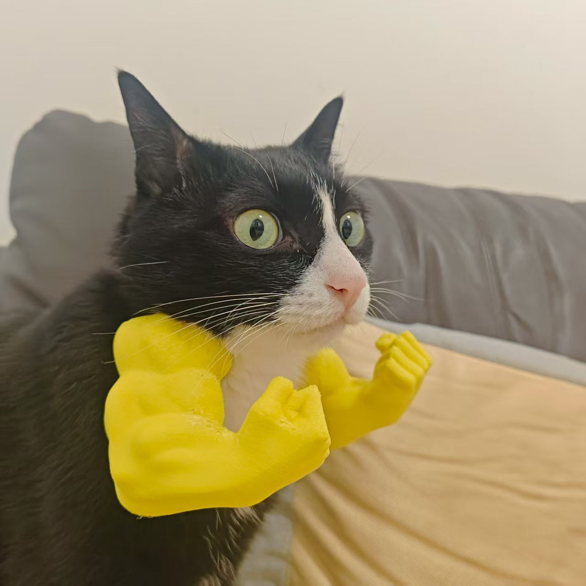 Pet Hulk Cat Costume Prop for Funny Superhero Photos