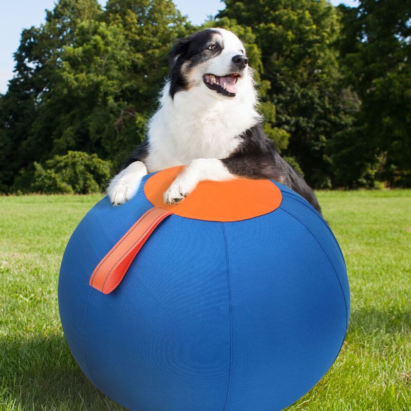 Floating Fetch Ball for Dogs | Durable Outdoor Toy