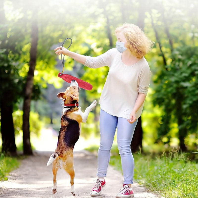 Dog Chew Toys for Boredom Relief | EVA Molar Sticks