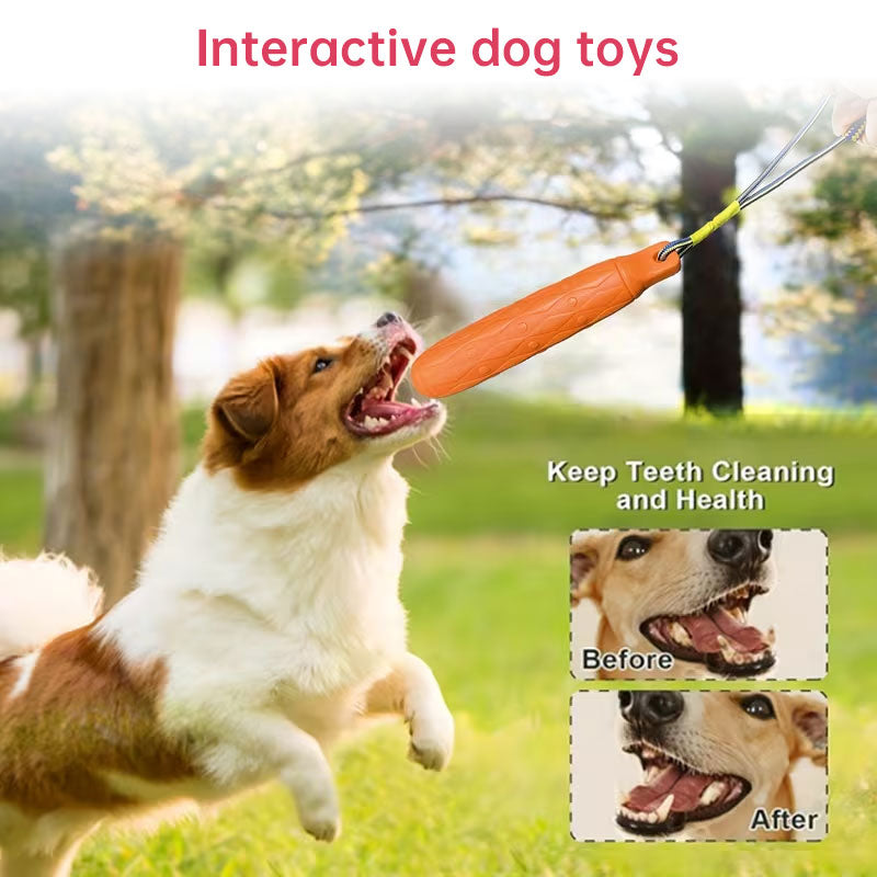Dog Chew Toys for Boredom Relief | EVA Molar Sticks