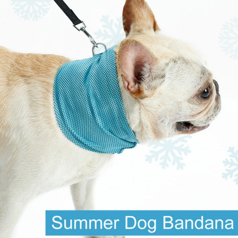Dog Cooling Bandana for Instant Summer Heat Relief