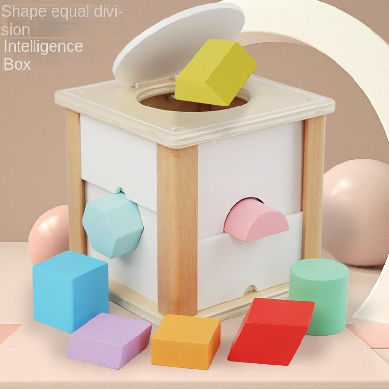 Wooden Shape Matching Toy for Early Spatial Learning