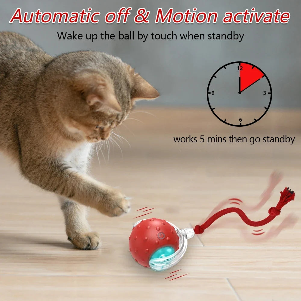 Interactive Cat Toy Ball with Chirping Bird Sound Mode