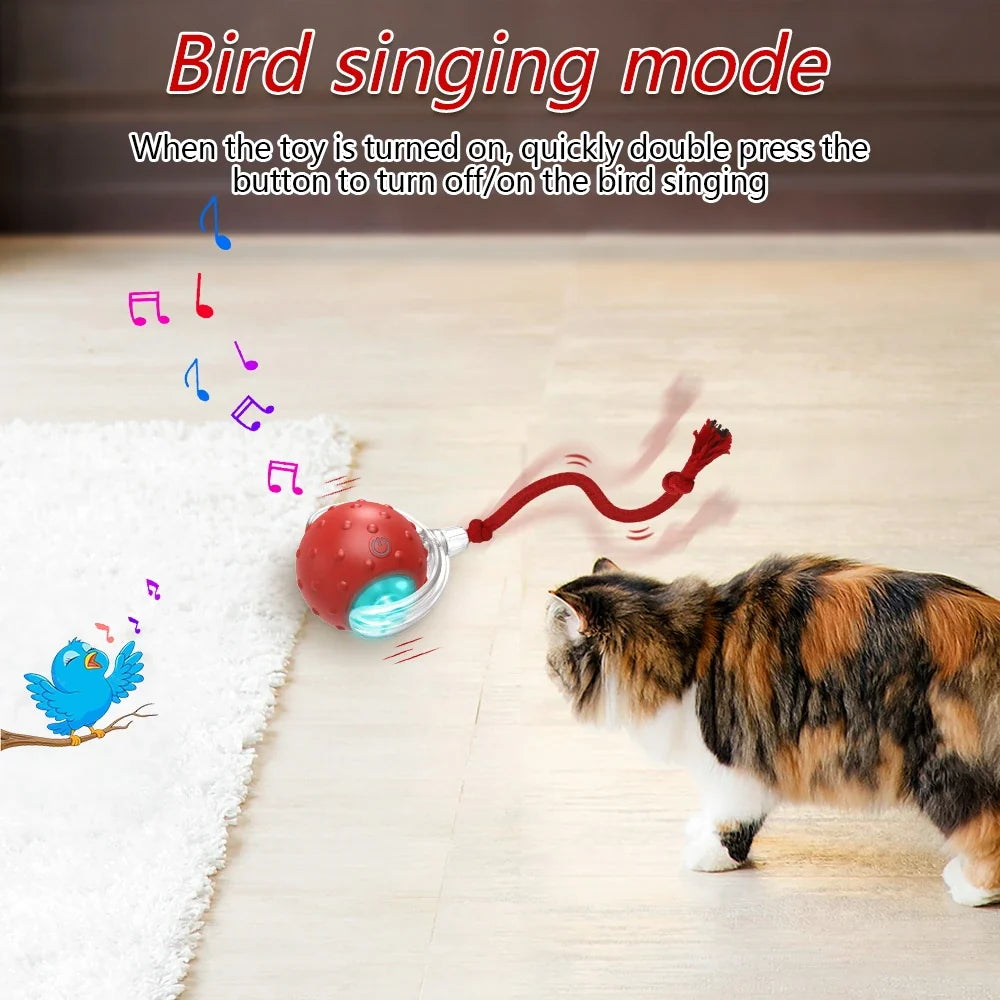 Interactive Cat Toy Ball with Chirping Bird Sound Mode