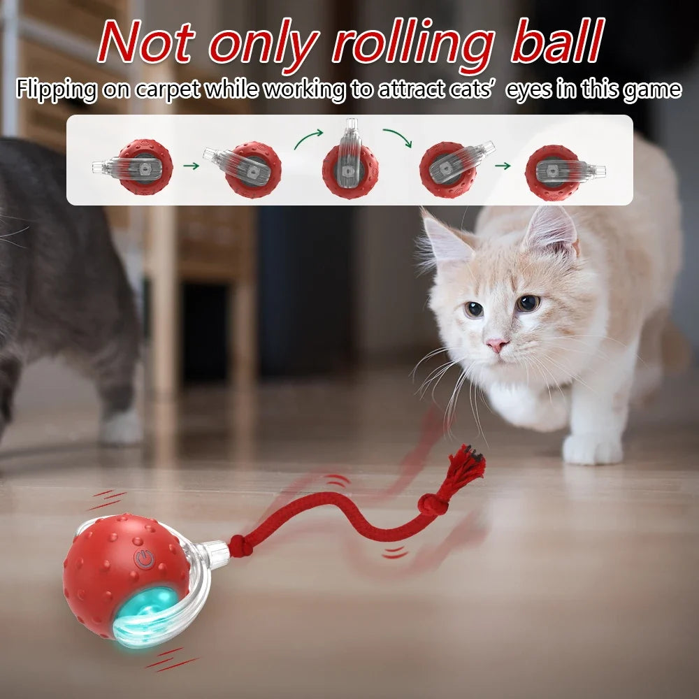 Interactive Cat Toy Ball with Chirping Bird Sound Mode