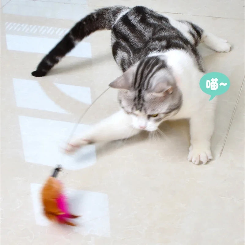 Interactive Cat Toy Feather Teaser for Indoor Play