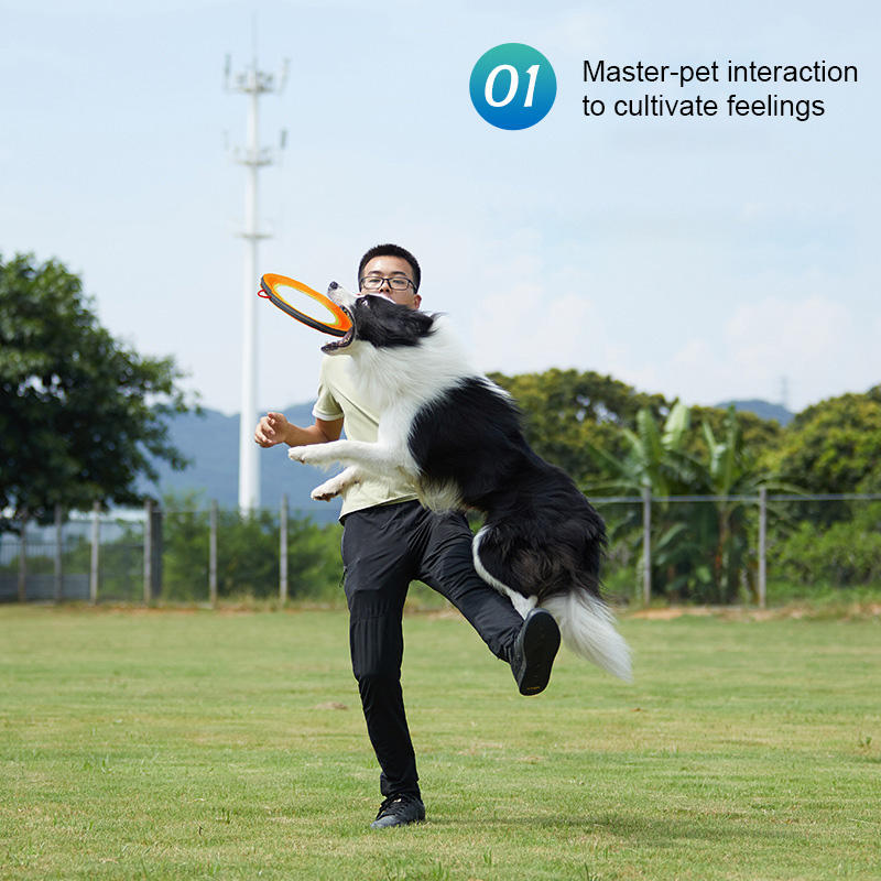 Interactive Dog Frisbee for Fetch & Outdoor Exercise