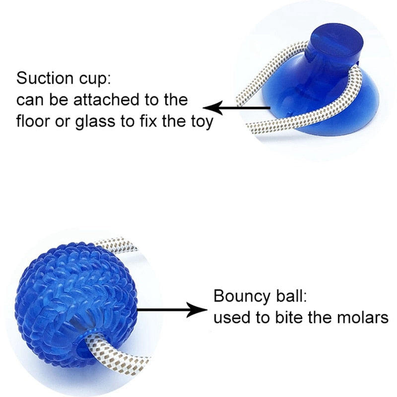 Interactive Suction Cup Dog Toy for Chewing and Play