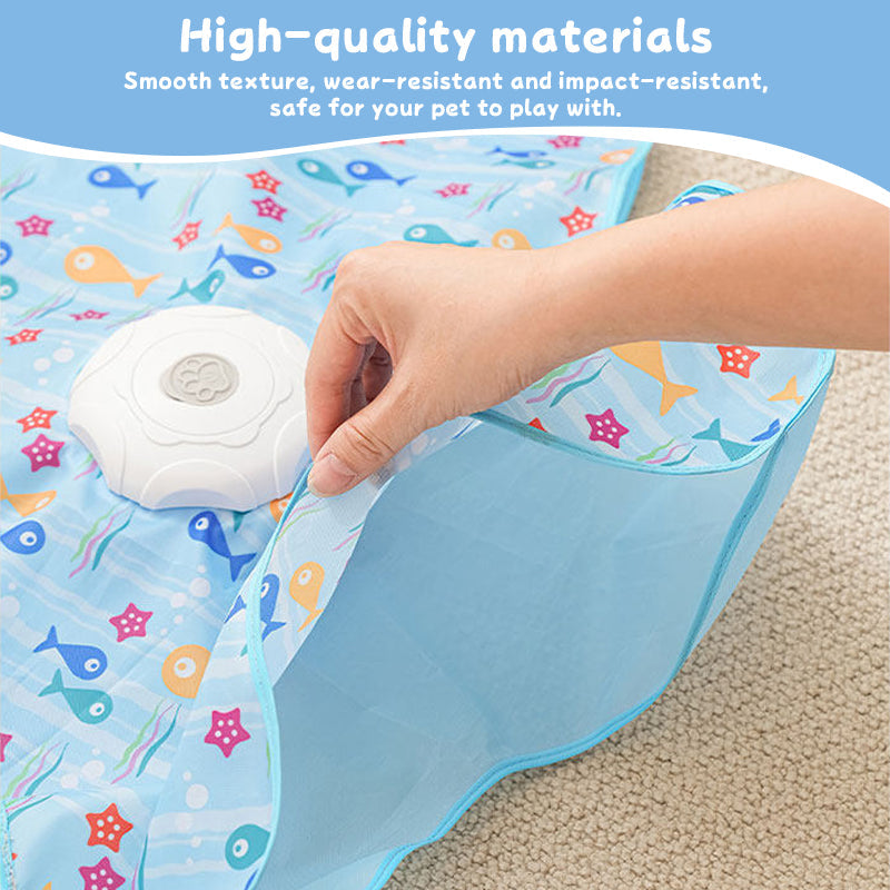 Interactive Cat Toy for Indoor Play and Chase Fun