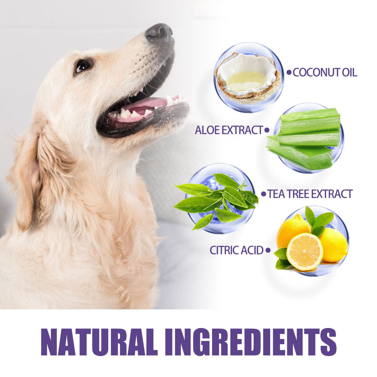 Pet Dental Wipes for Dogs & Cats | Plaque & Gum Care