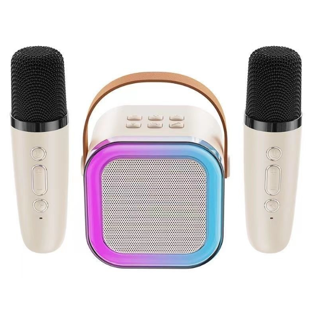 Wireless Karaoke Machine with 2 Mics and RGB Lights