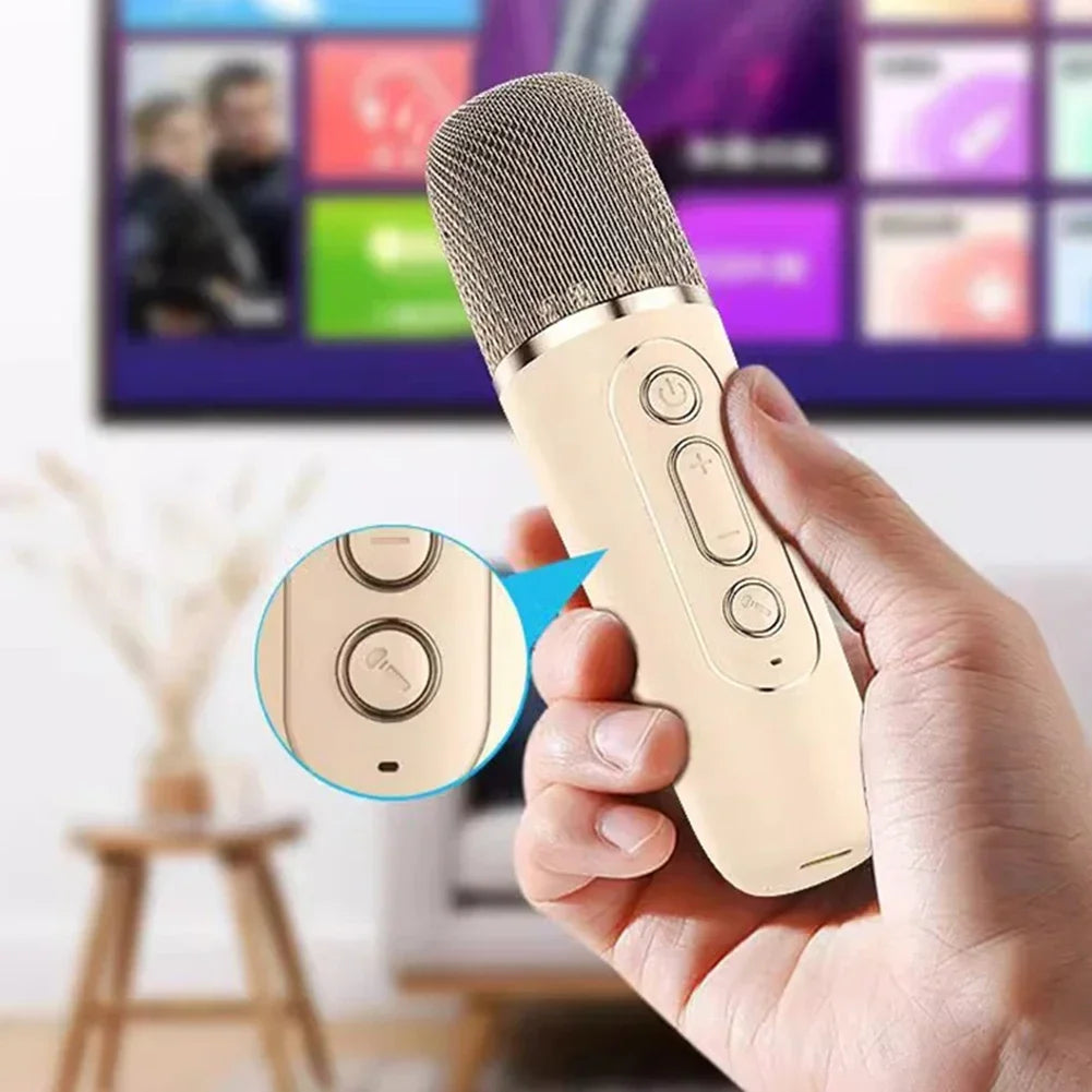 Wireless Karaoke Machine with 2 Mics and RGB Lights