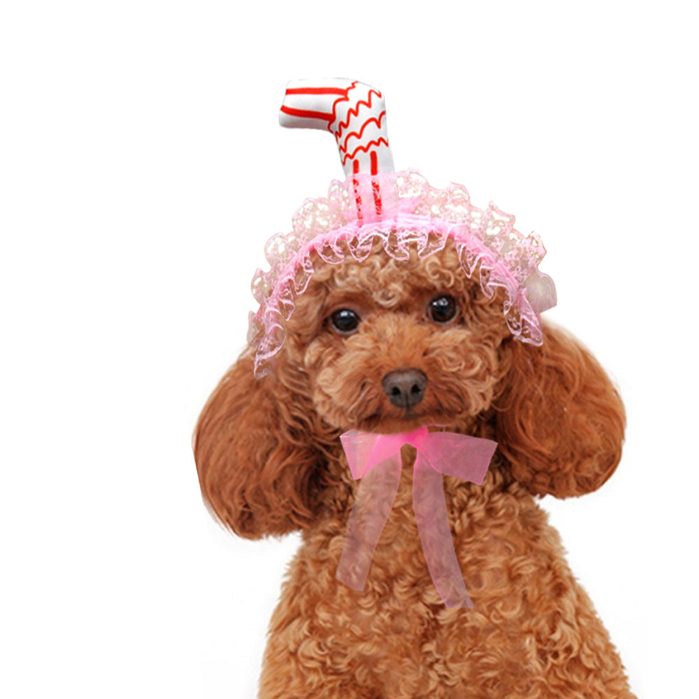 Lace Dog Birthday Hat With Ear Holes | Party Photos