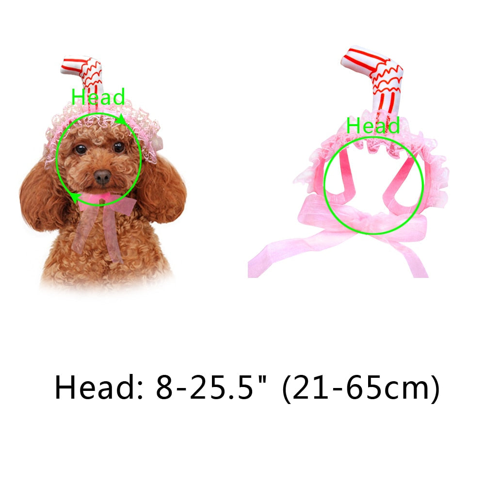 Lace Dog Birthday Hat With Ear Holes | Party Photos
