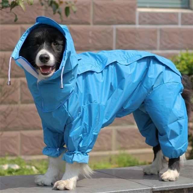 Dog Raincoat: Full-Body Waterproof Rain Protection