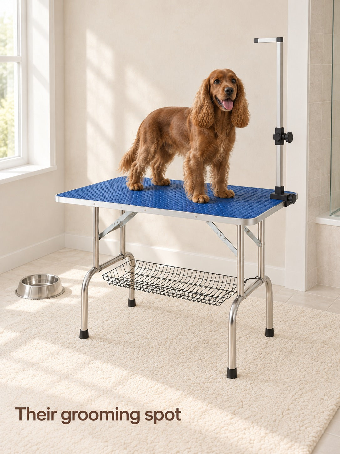 Large Pet Grooming Table 46 Inch with Adjustable Arm