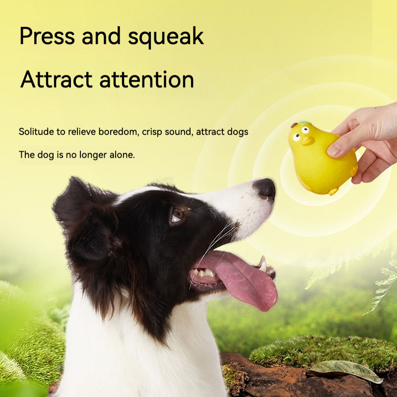 Soft Squeaky Dog Toy for Boredom Relief and Play