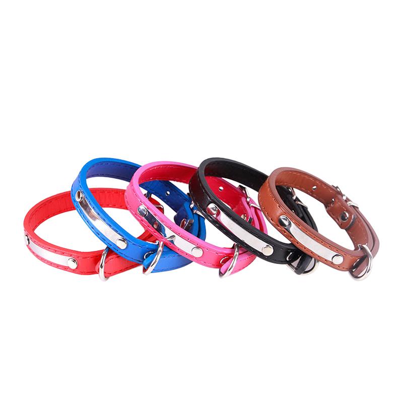 Custom Engraved Dog Collar for Puppies and Cats
