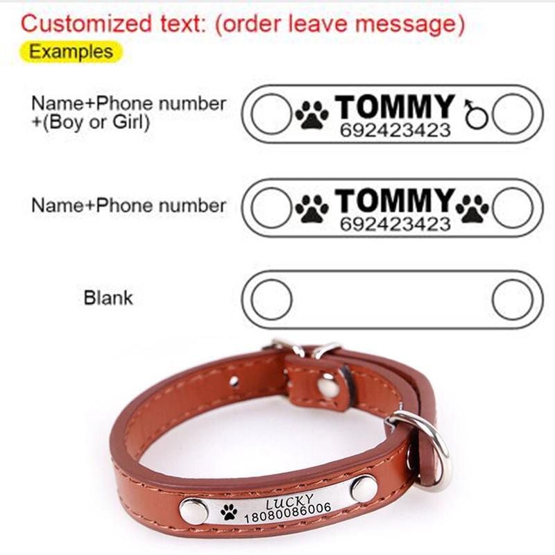 Custom Engraved Dog Collar for Puppies and Cats