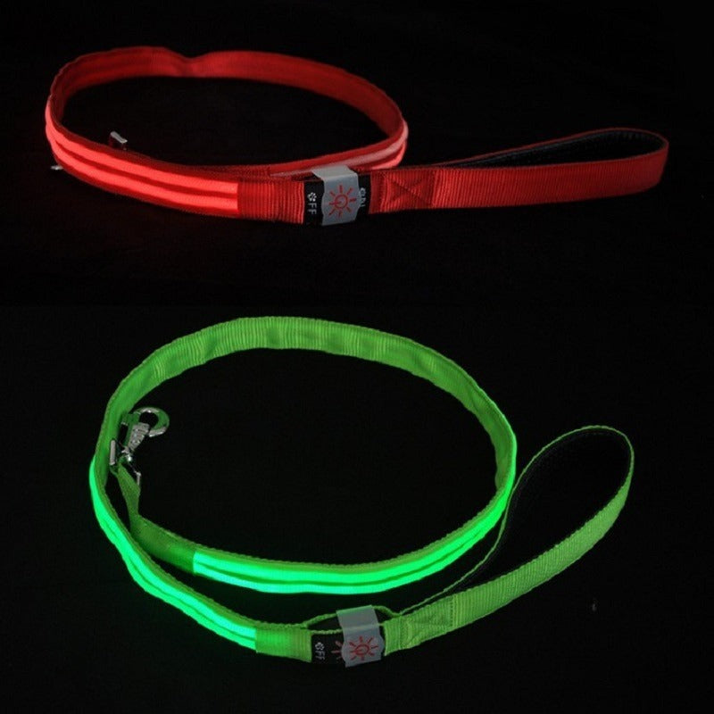 LED Dog Leash for Nighttime Visibility | USB Rechargeable