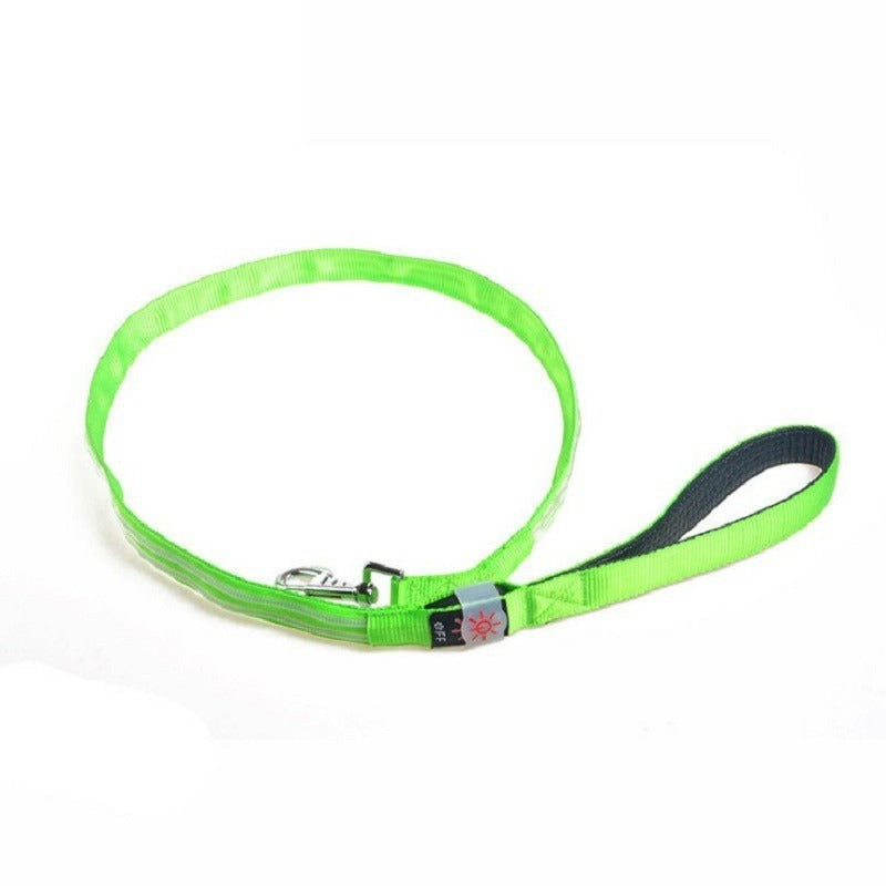 LED Dog Leash for Nighttime Visibility | USB Rechargeable