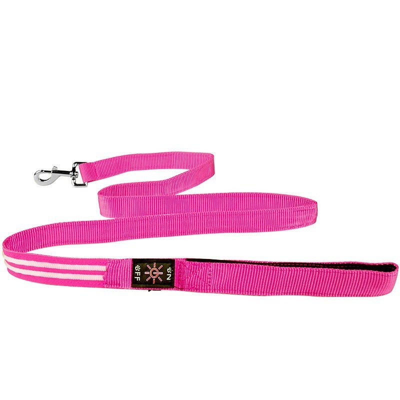 LED Dog Leash for Nighttime Visibility | USB Rechargeable