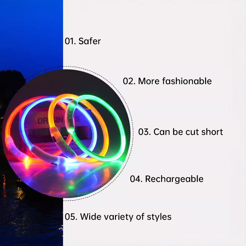 LED Dog Collar for Night Visibility, USB Rechargeable